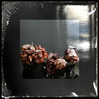 Hard to Love cover art by Shadoe
