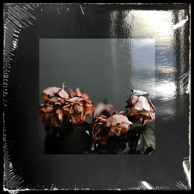 Hard to Love cover art by Shadoe